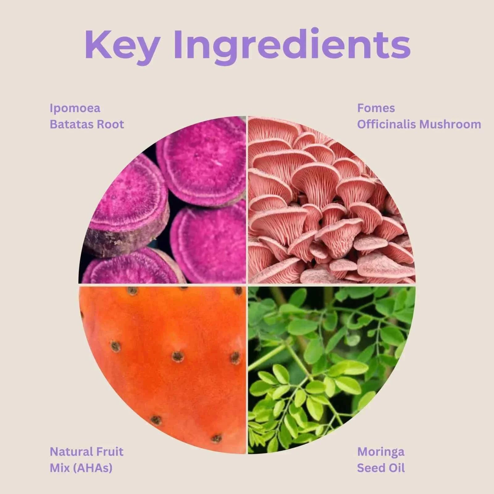 Key ingredients of PaviPure™ I Detox Clay Mask including Ipomoea Batatas Root, Fomes Officinalis Mushroom, Natural Fruit Mix (AHAs), and Moringa Seed Oil for detoxifying and hydrating skin.