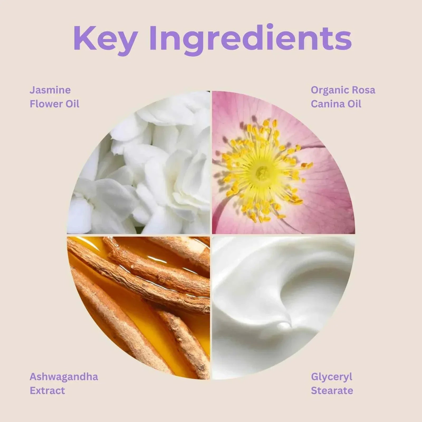 DeviDetox® hydrating cleanser key ingredients including Jasmine Flower Oil, Organic Rosa Canina Oil, Ashwagandha Extract, and Glyceryl Stearate