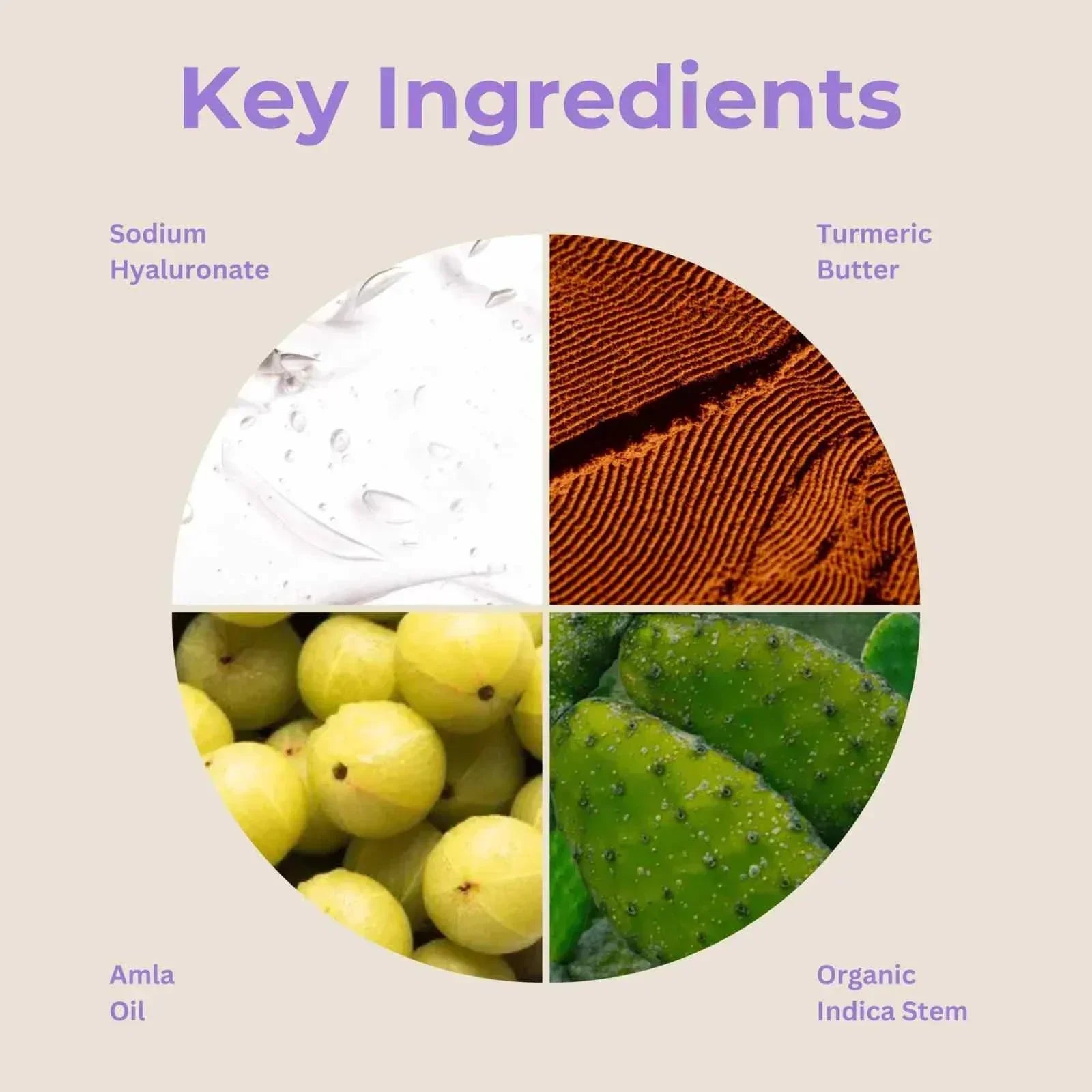 Moisturizing mask key ingredients: Sodium Hyaluronate, Turmeric Butter, Amla Oil, Organic Indica Stem