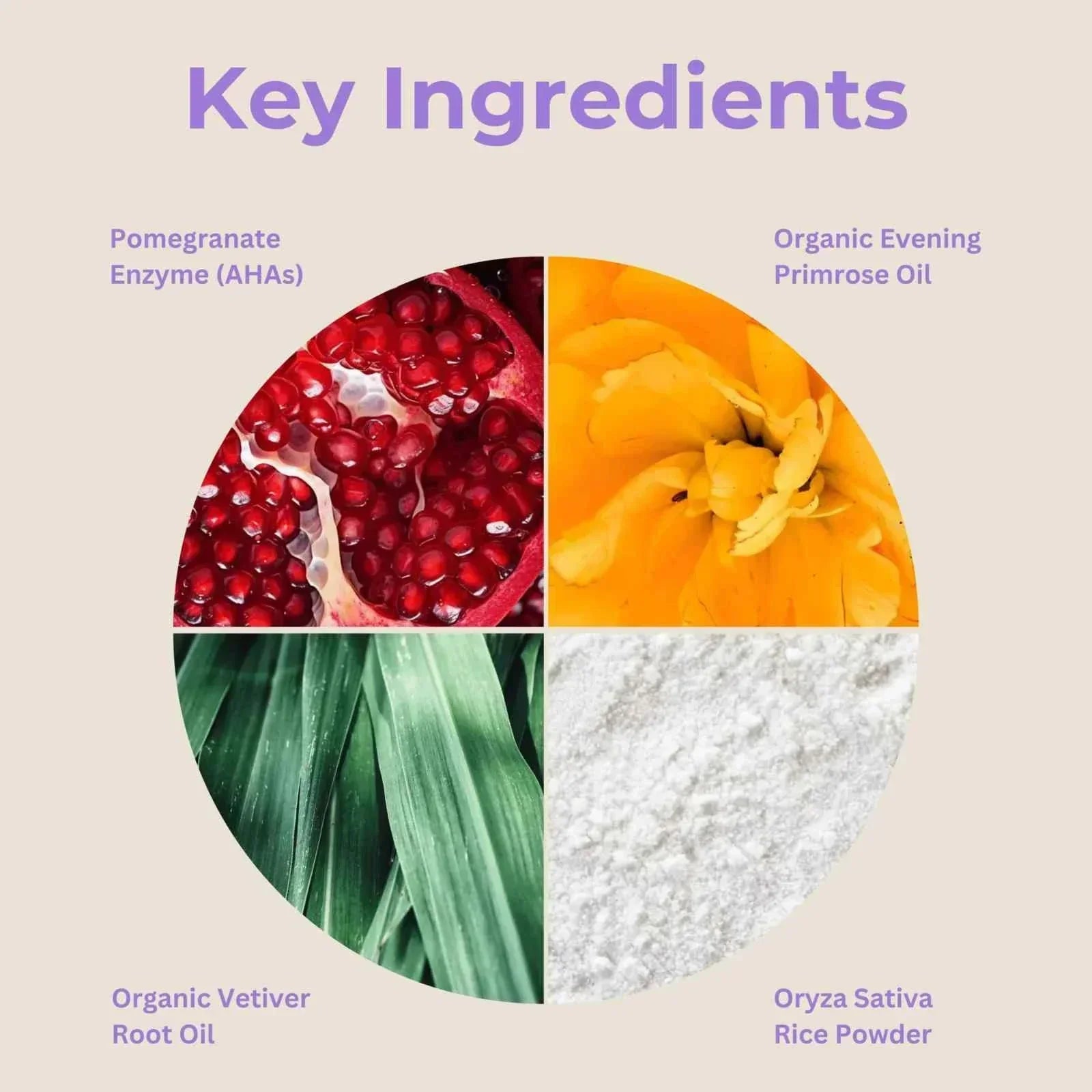 Key ingredients of gentle facial exfoliator showing pomegranate enzyme, organic evening primrose oil, vetiver root oil, and rice powder